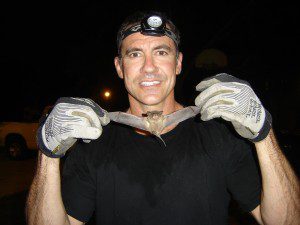 Bat Removal in Boca Raton