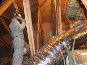 Opossum attic damage