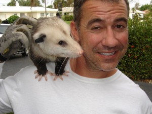 opossum removal Boca