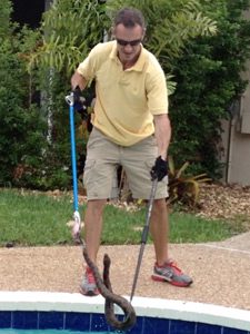 Snake Removal in Boca Raton