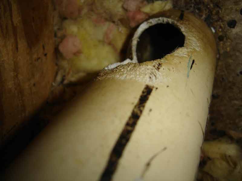 Rat Pipe Damage