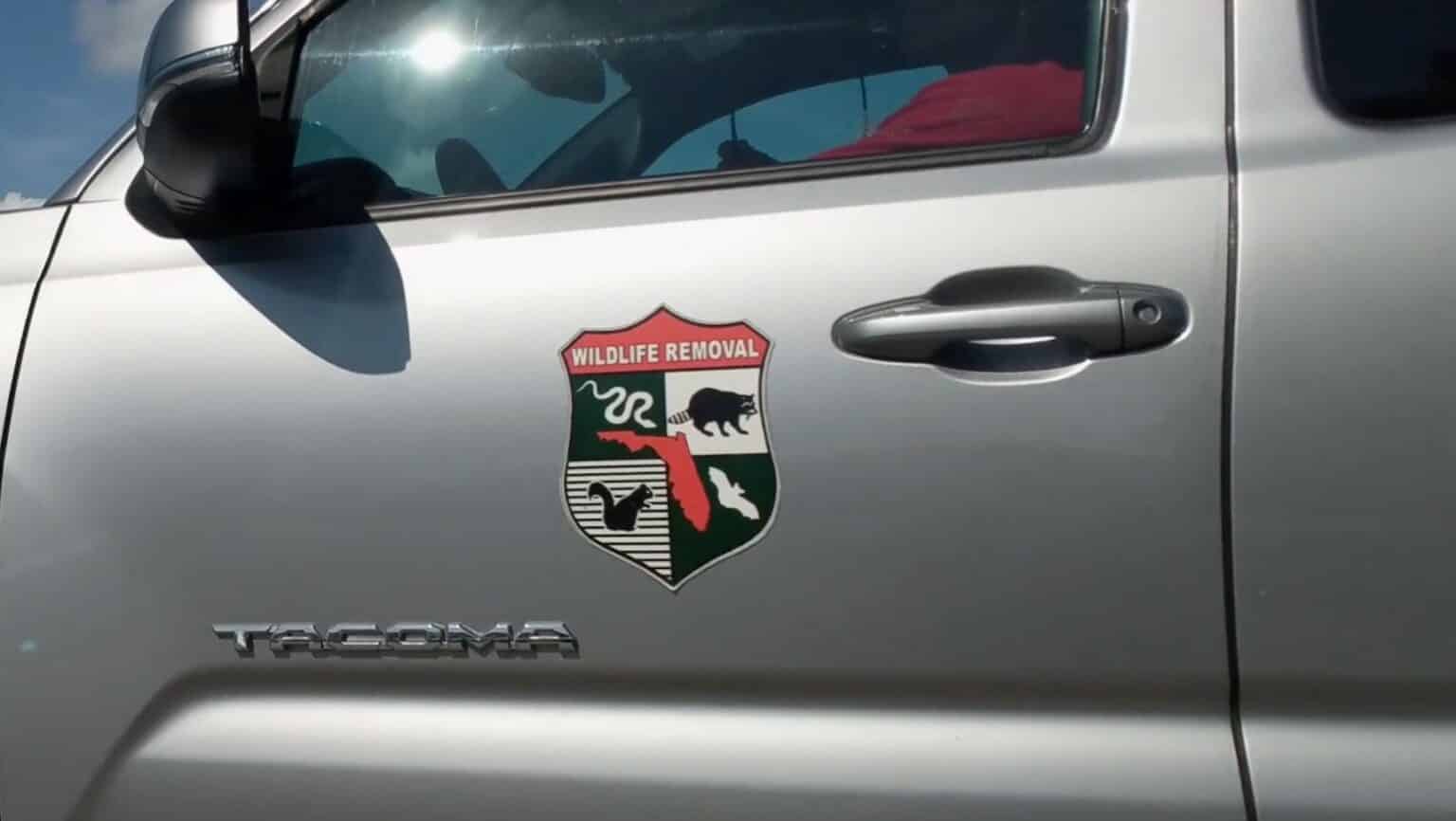 The Best Local Wildlife Removal in Boca Raton Wildlife