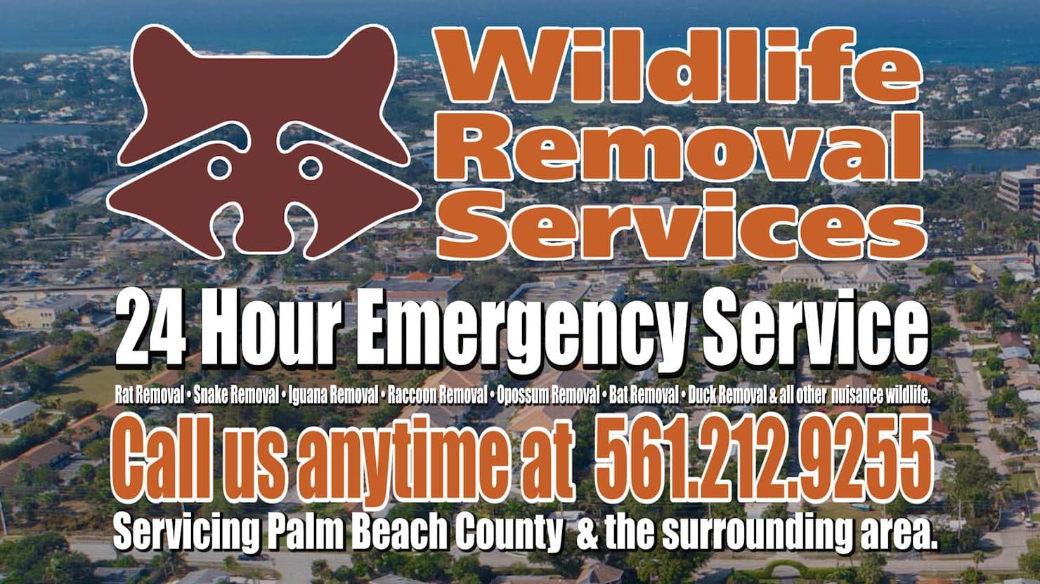 identify animal droppings Archives - Wildlife Removal Services of Florida