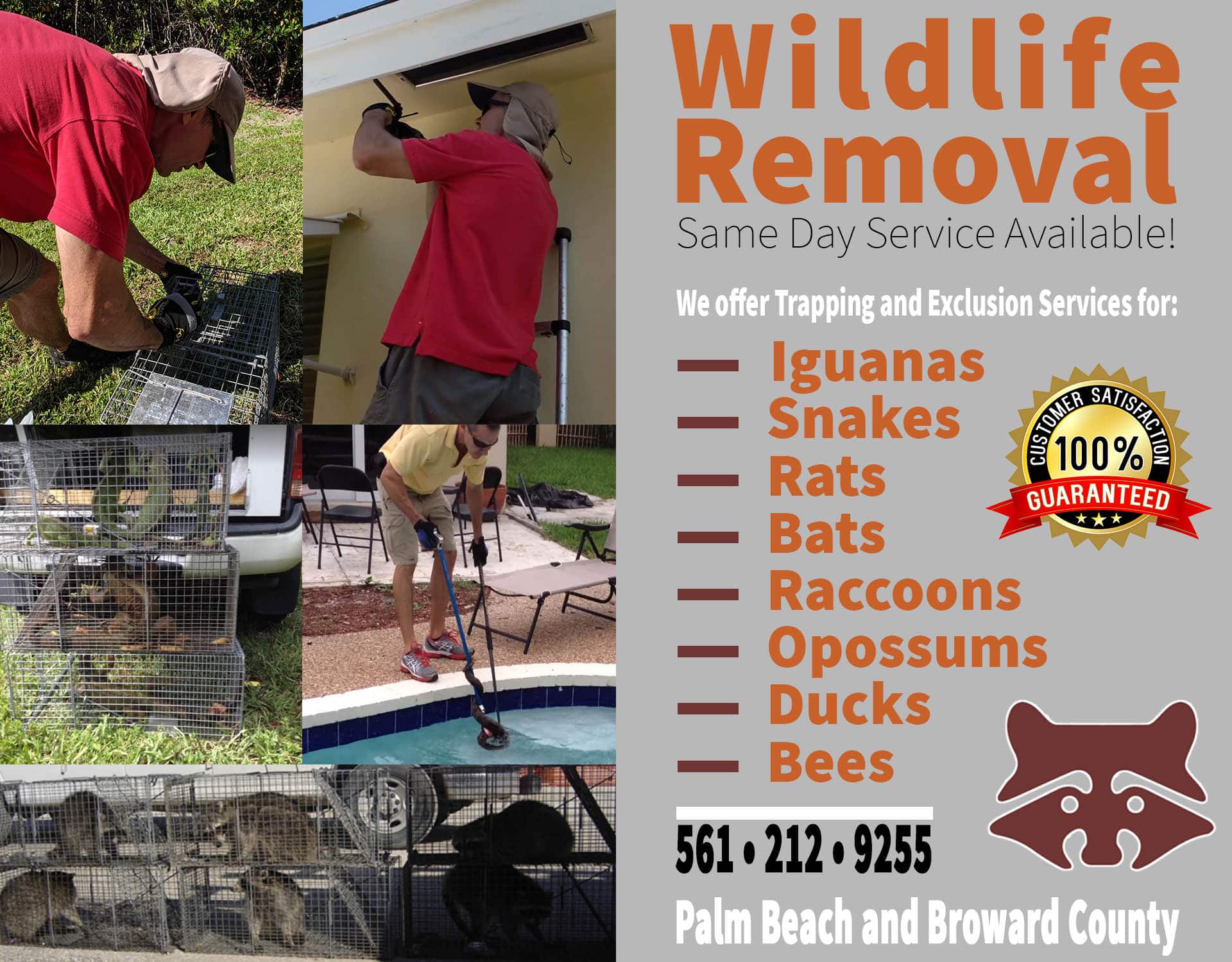 Contact the Best Wildlife Removal, Animal Control and Pest Control Service near me (24/7 ...